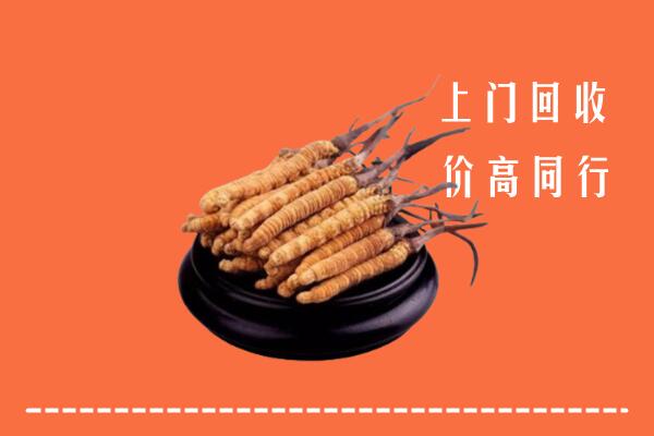 附近收购：拱墅区冬虫夏草回收多少钱每克